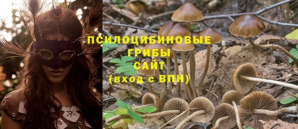 амф Арсеньев