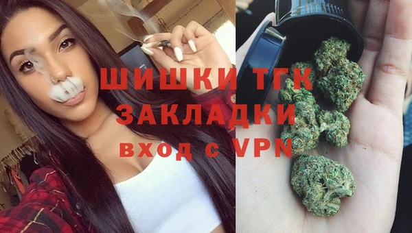 тгк Армянск
