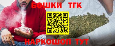 шишки Гагарин