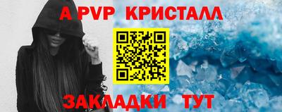 стафф Анжеро-Судженск