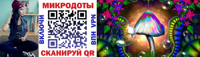 Галлюциногенные грибы мухоморы  где продают наркотики  Строитель 